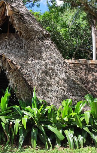 Finca turística El Justo